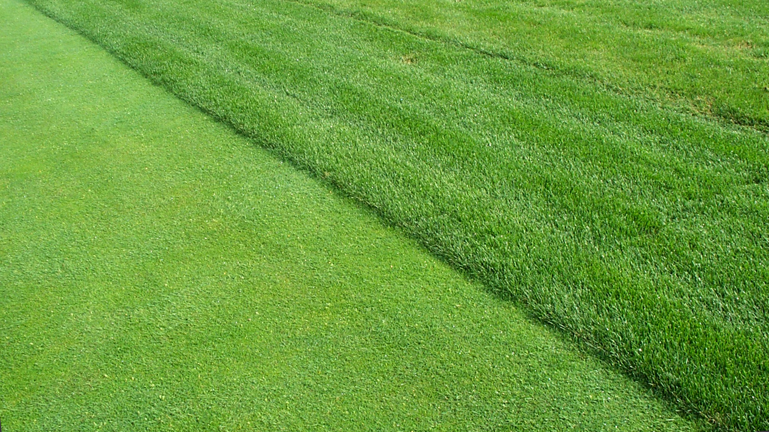 Native Rough Golf Course Adjustments to Fairways and Rough - Grinnell College Golf Course